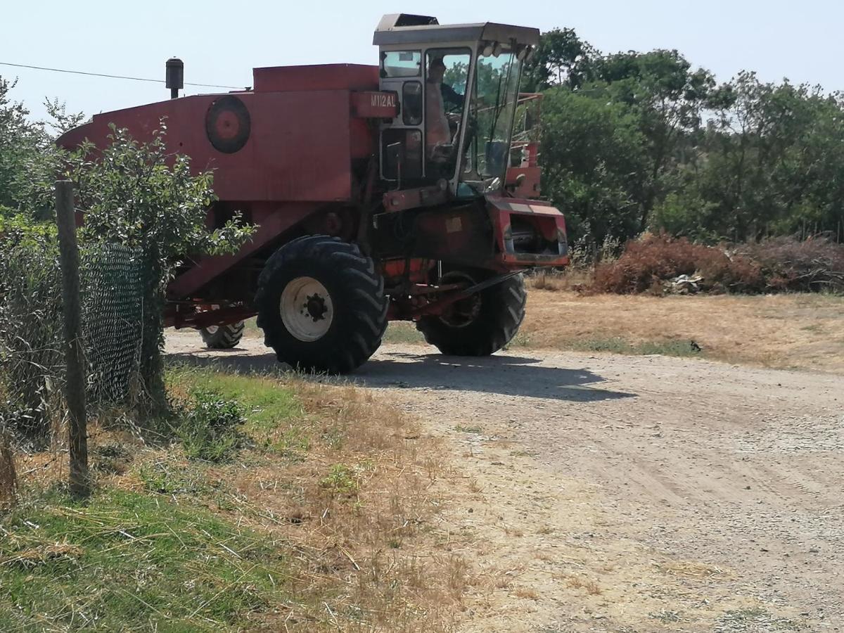 הוילה סטורניה Piane Del Bagno מראה חיצוני תמונה