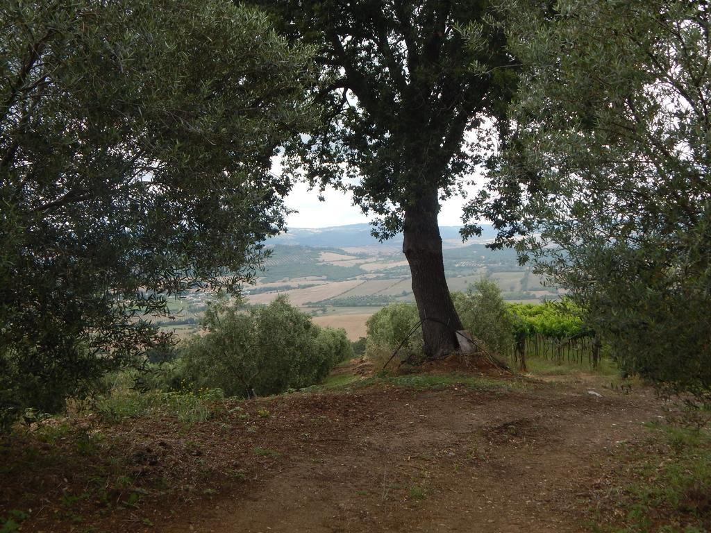 הוילה סטורניה Piane Del Bagno מראה חיצוני תמונה