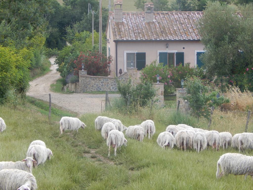 הוילה סטורניה Piane Del Bagno מראה חיצוני תמונה